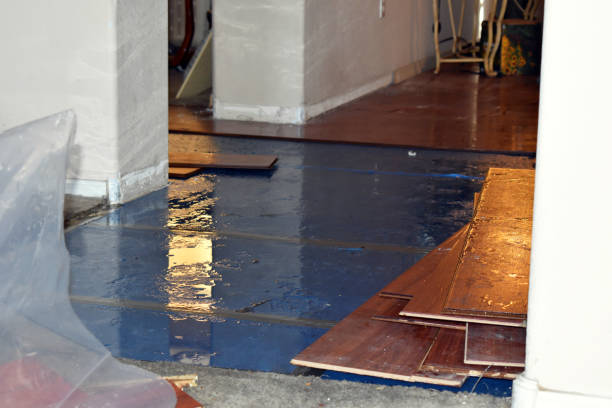 Professional Water Damage Restoration technician working in Halltown, MO